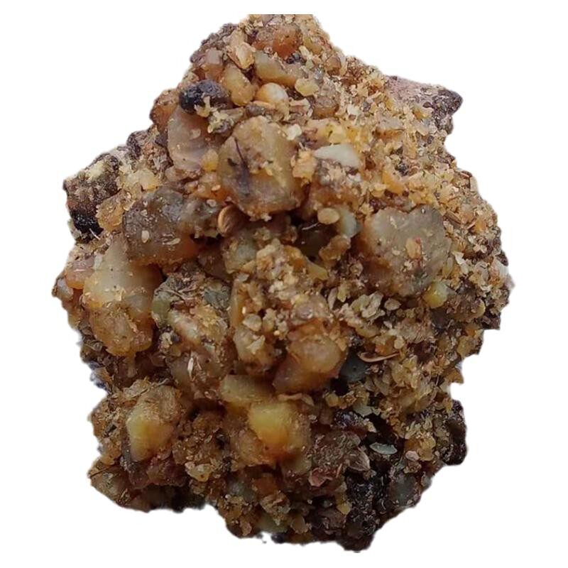 阿魏鱼饵新疆50克包邮泡酒药药材老臭野钓水库活饵