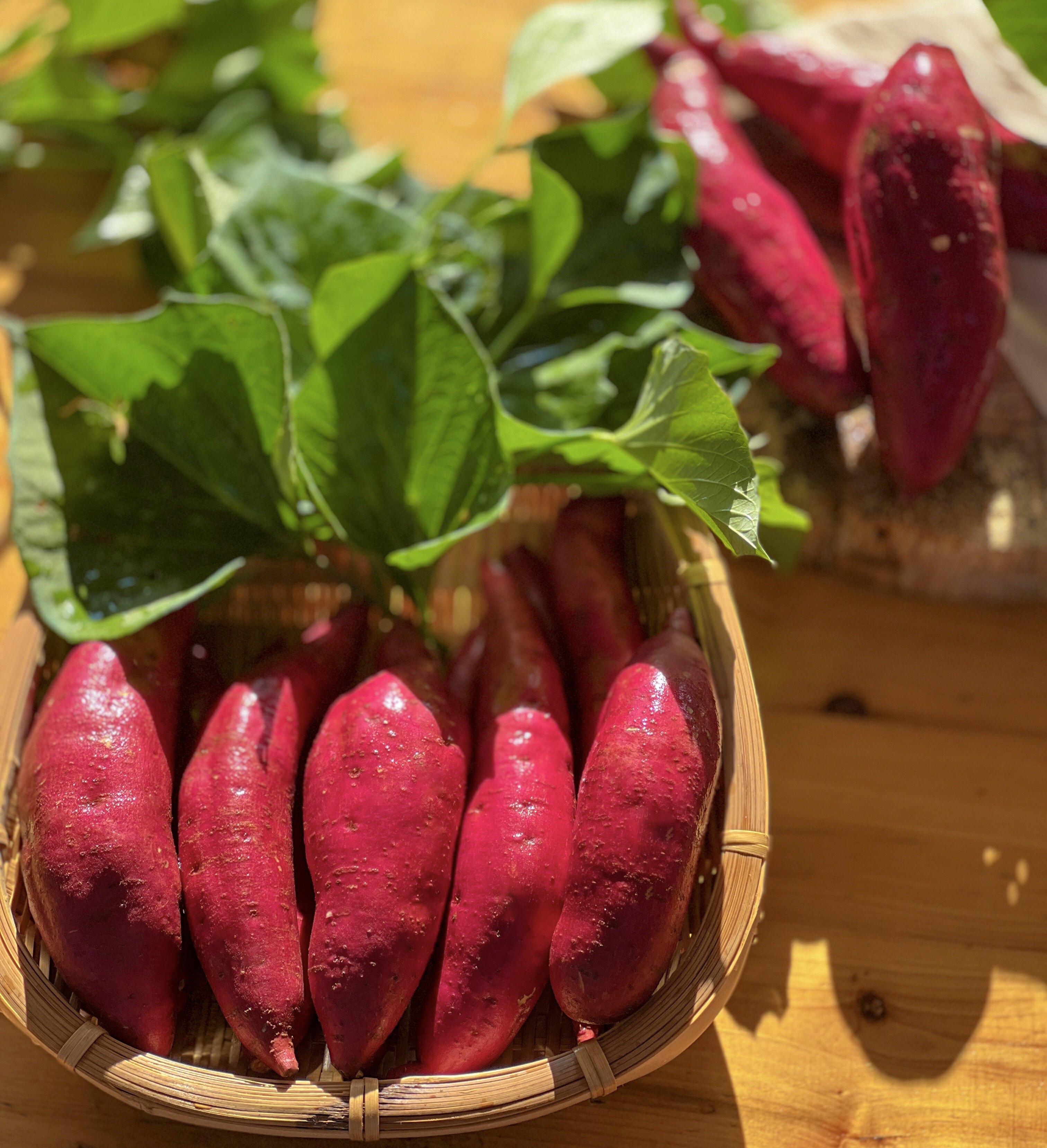 云南高原西瓜红蜜农家自产自销新鲜现挖源头好生番薯