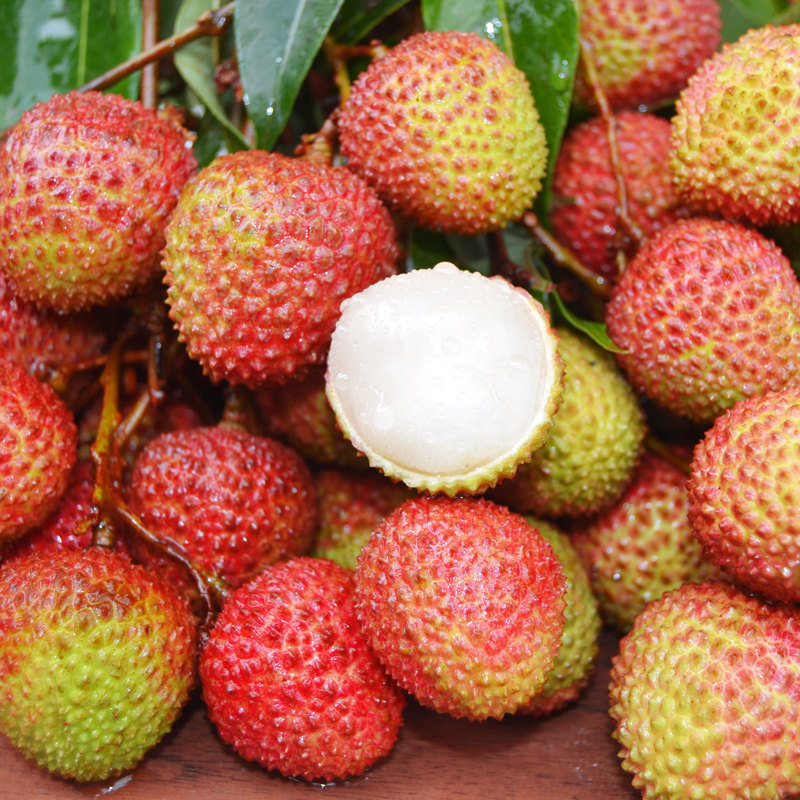 深圳南山妃子荔枝当季新鲜水果现摘现发白糖荔枝