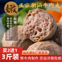 Chaoshan manufacturer direct fresh beef production (Burst Juice Beef Meatballs Beef Tendon Pill) 1 catty bag airlift cold chain bag