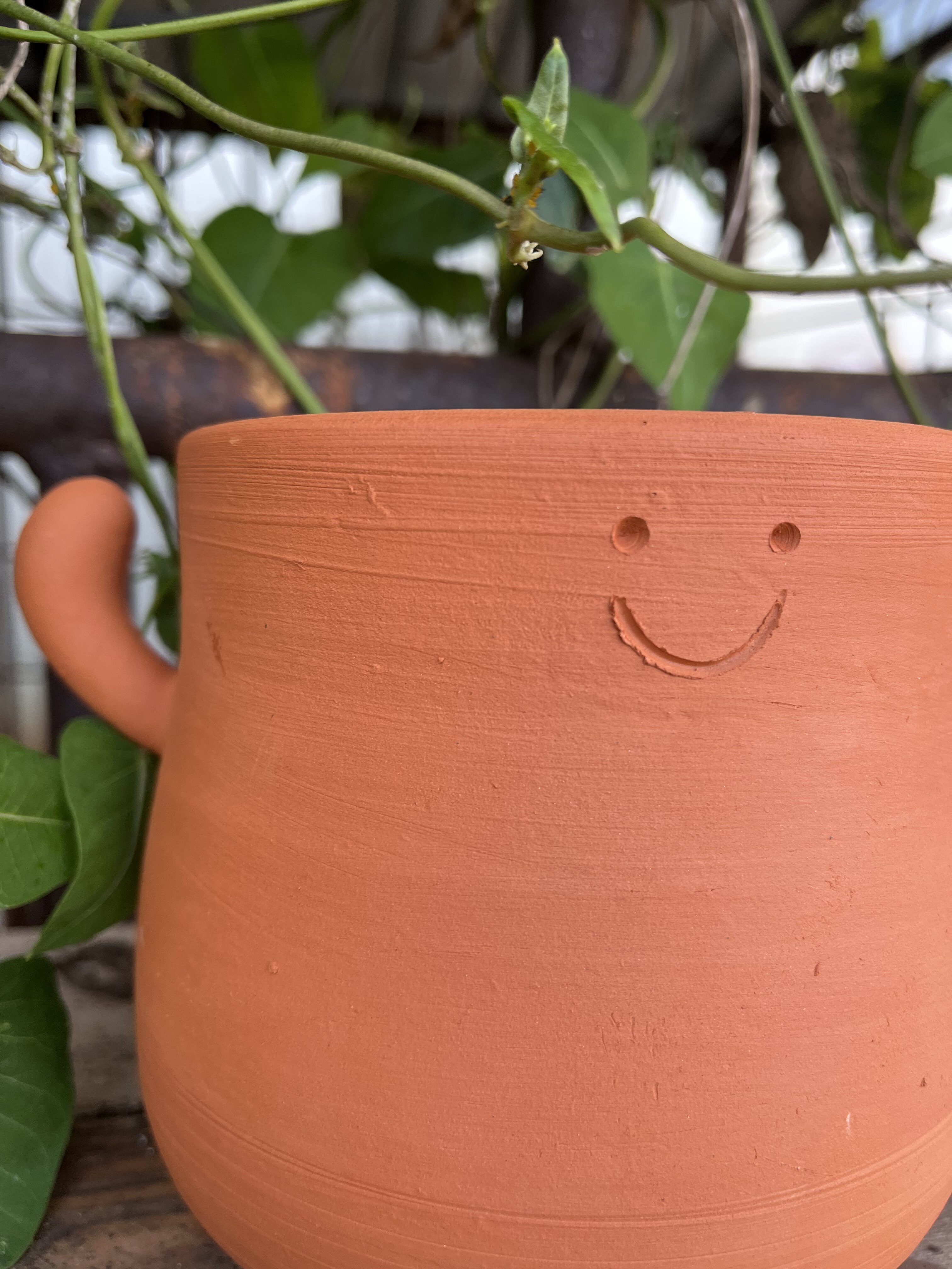 初见南枝元气小手可爱透气手工陶土植物花卉花盆