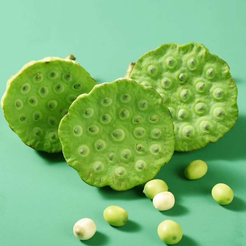 当季新鲜莲蓬现摘水果脆嫩莲米江西洪湖莲子新鲜莲蓬