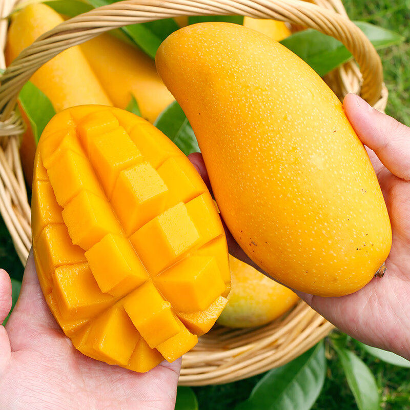 海南【金煌芒果】水仙芒净重3斤整箱爆甜 - 惠券直