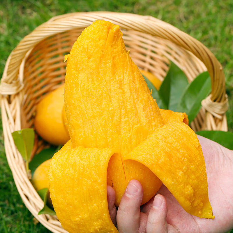 海南金煌芒果水仙芒净重3斤整箱爆甜