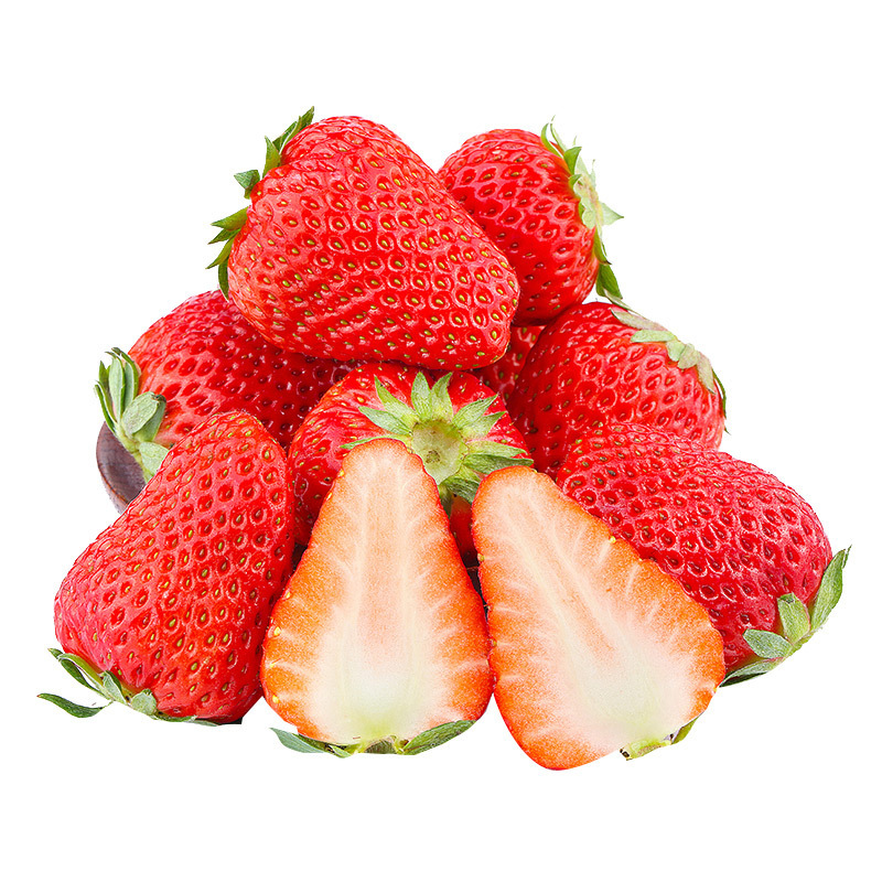 大凉山新鲜草莓1斤礼盒装