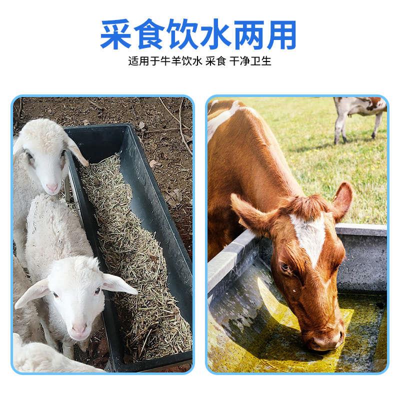 塑料羊槽羊用养殖槽用水槽饮水槽养殖料槽牛槽牛羊分食槽养羊设备