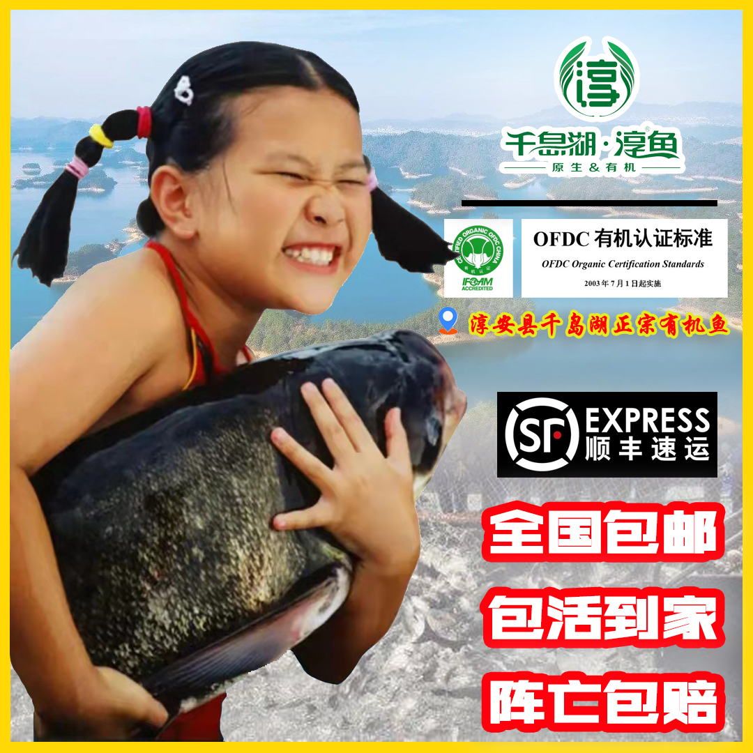 正宗千岛湖淳牌有机鱼千岛湖胖头鱼鲜活捕捞产地直发顺丰包邮到家