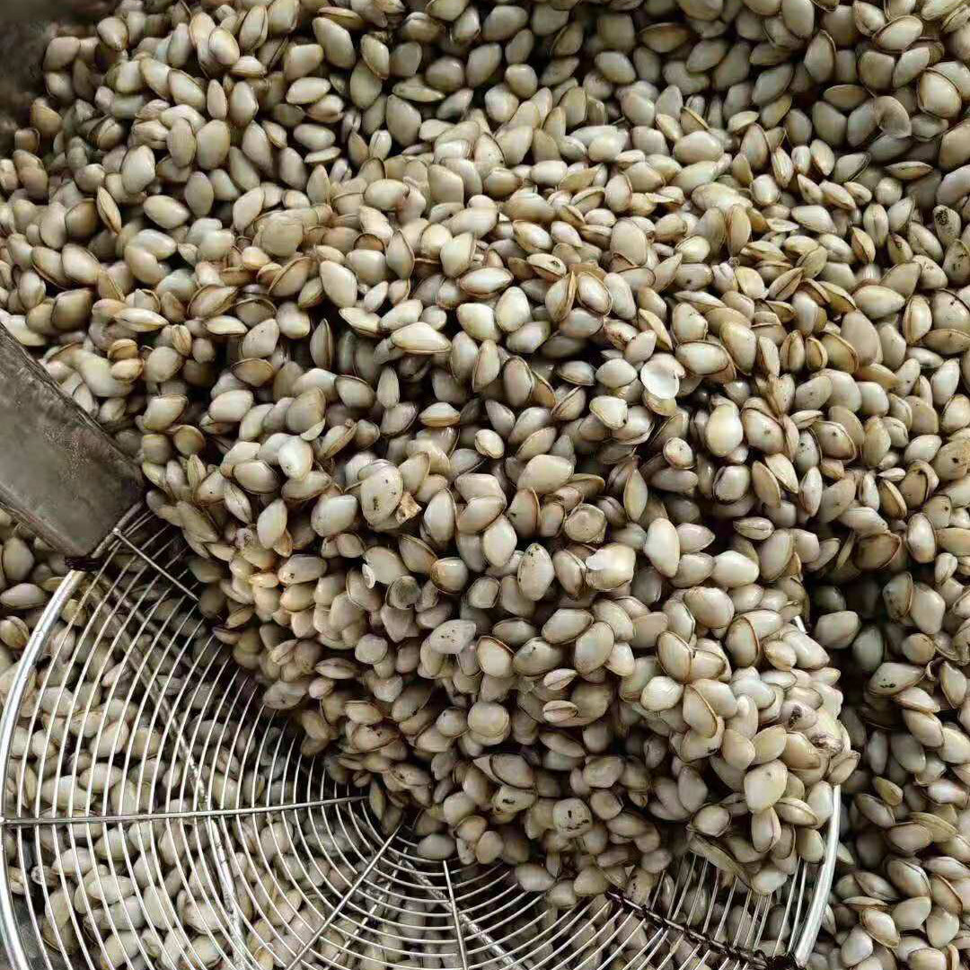 东夷小镇同款日照特产海沙子原味汤汁袋装面条贝类制品