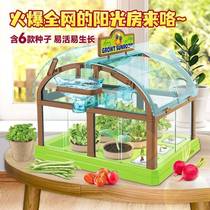Children Sunshine Planting Room Indoor Plant Growth Observation Box Greenhouse Students Small Potted Mini Vegetable Garden Small Garden