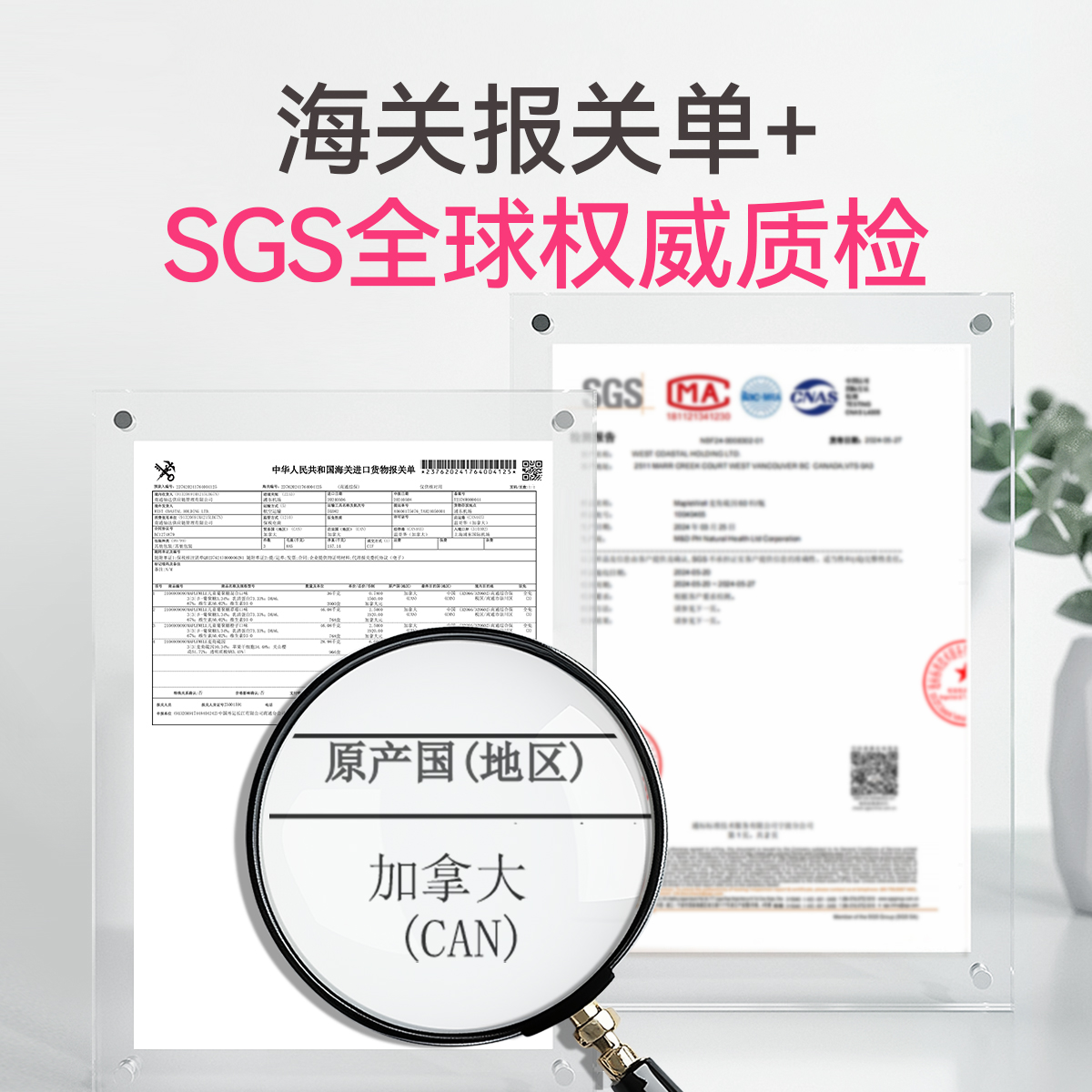 MP女性每日营养包MapleWell营养包复合综合维生素麦角硫因女维