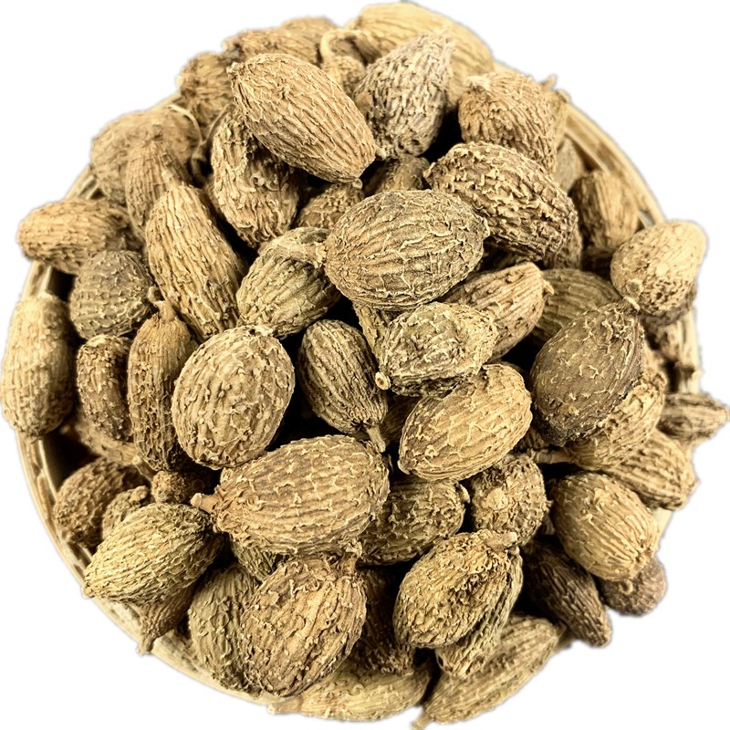 砂仁500克春砂仁沙干果西砂煲汤泡茶卤肉香调其他药食同源食品