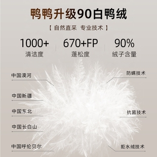 YAYA鸭鸭2025冬季新款羽绒服女气质休闲中长款羊剪绒立领简约外套