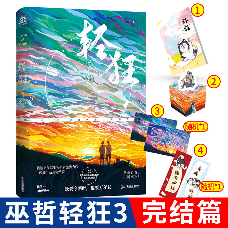 小说轻狂答案言情青春文学晋江作者成双狼行青春