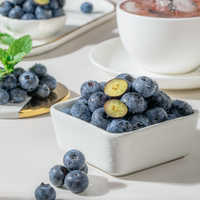 云南高原花香蓝莓125g*6盒