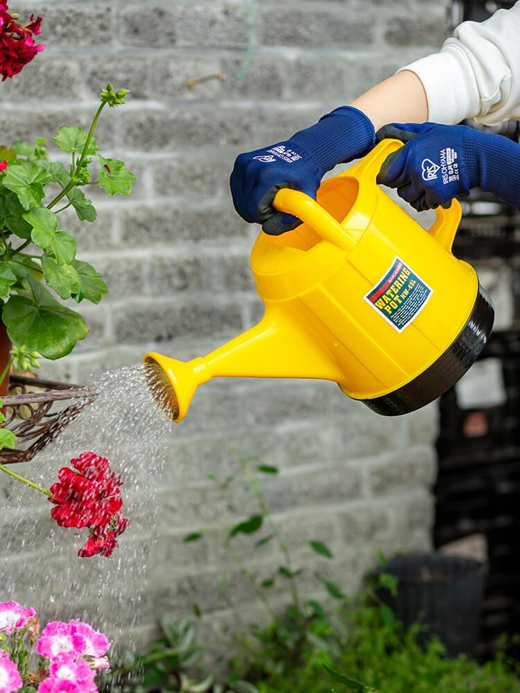 爱丽思iris彩色家用塑料洒水水壶阳台长嘴浇花洒水