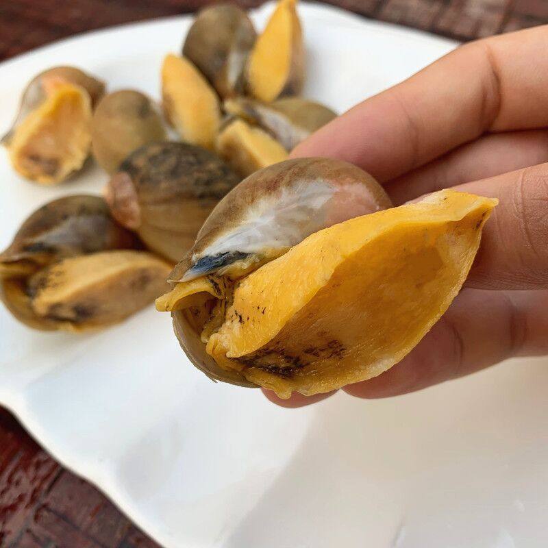 老婆新鲜冷冻鲍螺鲜活速冻鲍鱼黏螺珍珠贝类海螺