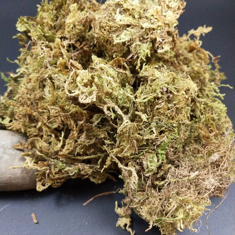 花木坊园艺干苔藓干青苔干水苔盆景铺面兰花多肉植物保湿爬虫垫材