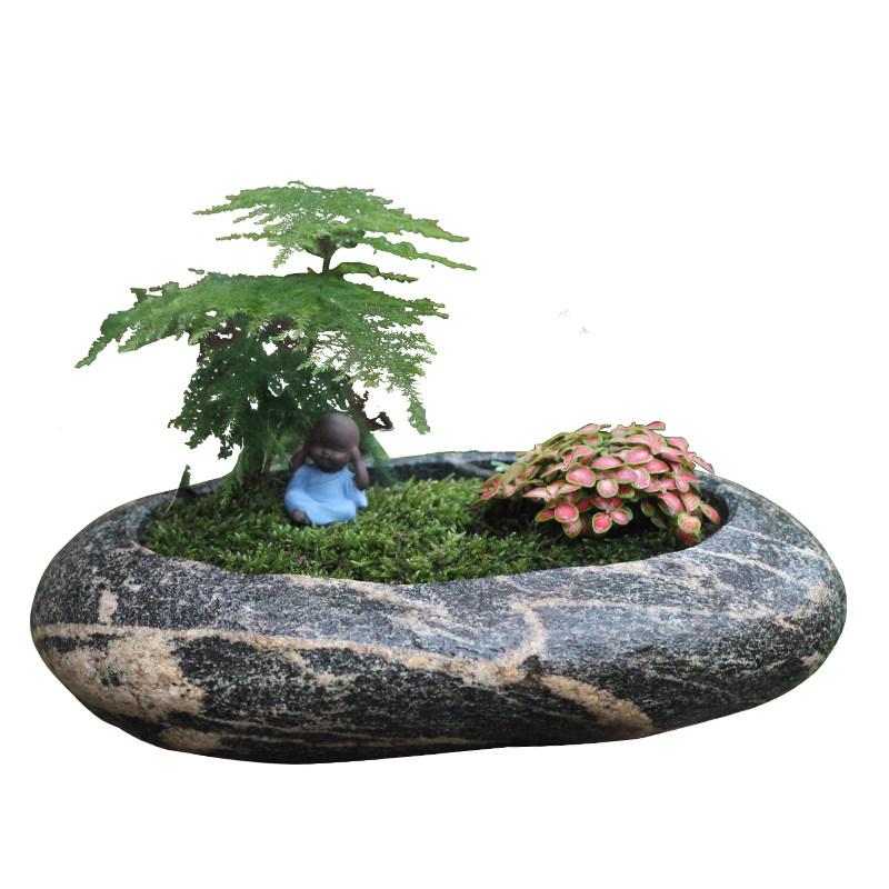 原石花盆天然室内水仙盆景水培植物禅意石头花盆