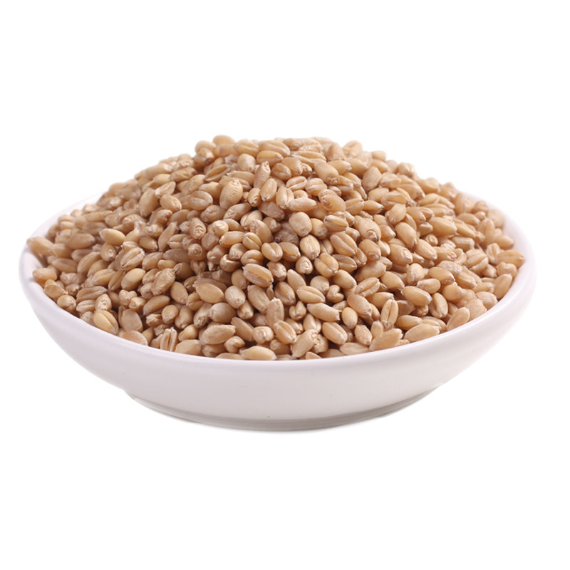 淮小麦500克g甘麦大枣汤河南怀小麦茶中药材新货贵臣正品