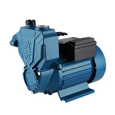 水泵大元自吸家用管道自来水增压泵抽220v抽水机电泵