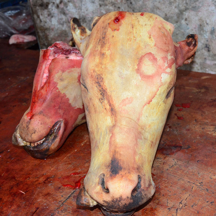 贵州带皮新鲜生牛头牛脸肉当天宰杀半整头带牛杂
