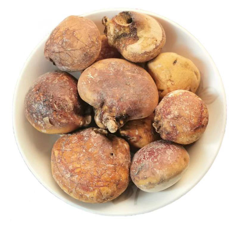 须元中药材野生正品觅阳纯天然隐孔菌香无根荷树包其他药食同源食品