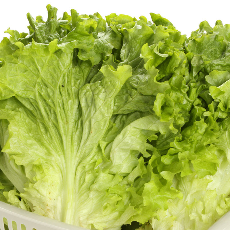 沙拉蔬菜新鲜绿生菜轻食即食清洗健身罗莎绿毛其它