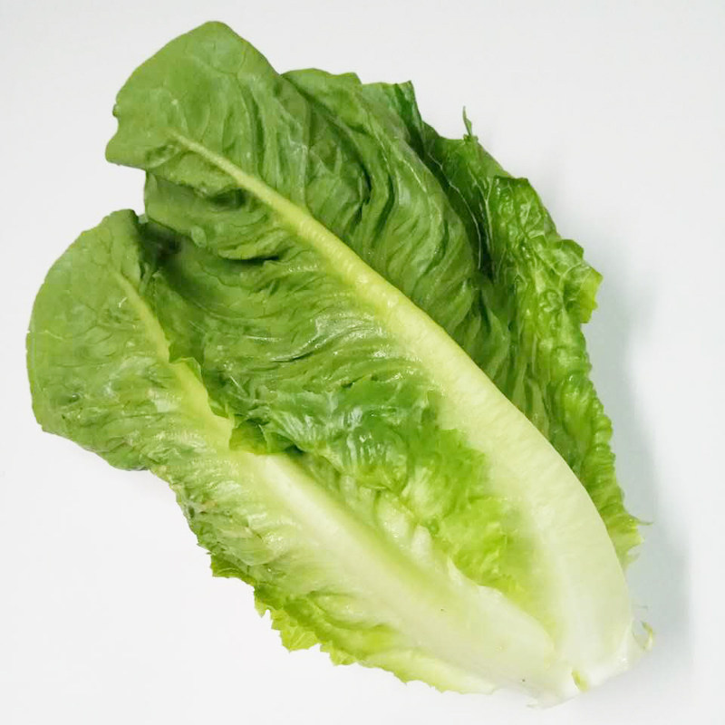 新鲜生菜蔬菜西餐罗马罗纹即食沙拉罗文500g其它