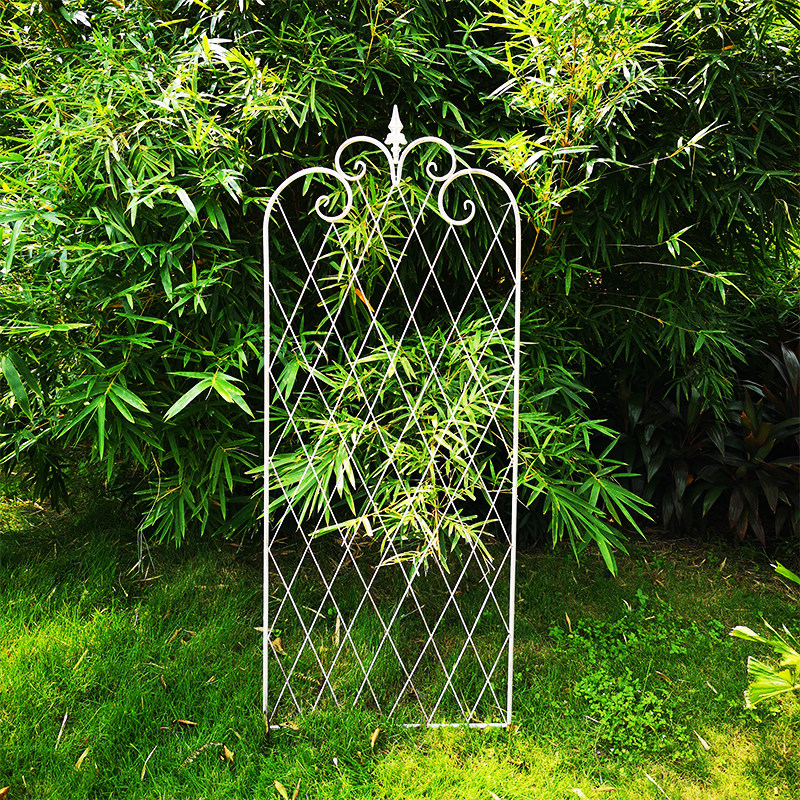 爬藤花架子铁艺网格屏风攀爬植物铁线莲藤月支架花架
