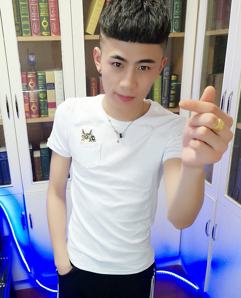 2018新款夏装快手红人同款短袖纯棉男t恤修身社会精神小伙半袖潮