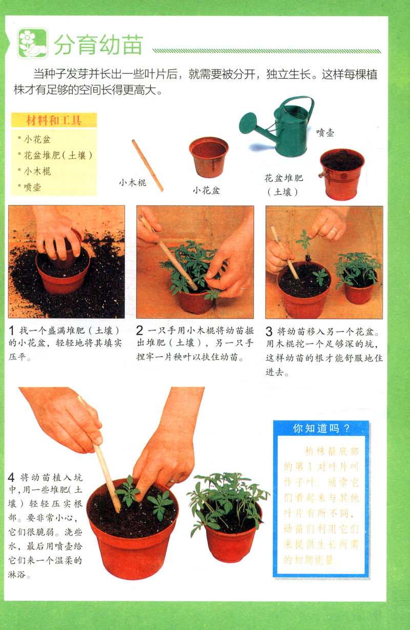 养花家庭种菜空间大全实用书籍休闲养草种花养花书籍