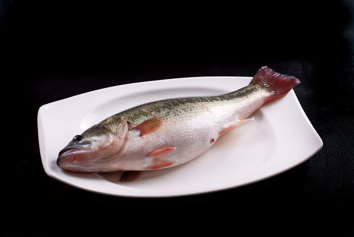 北京同城 鲈鱼 鲜活桂花鲈卢鱼寨花淡水食用水产海鲜1.2斤/条