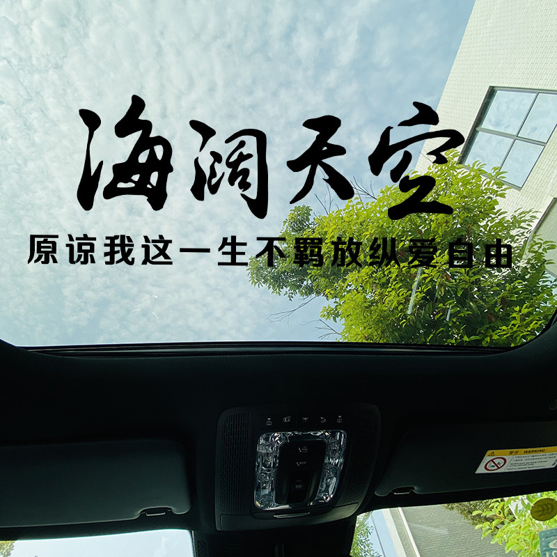 海阔天空文字后装饰窗玻璃字后爱自由天窗放纵不羁一生汽车装饰贴