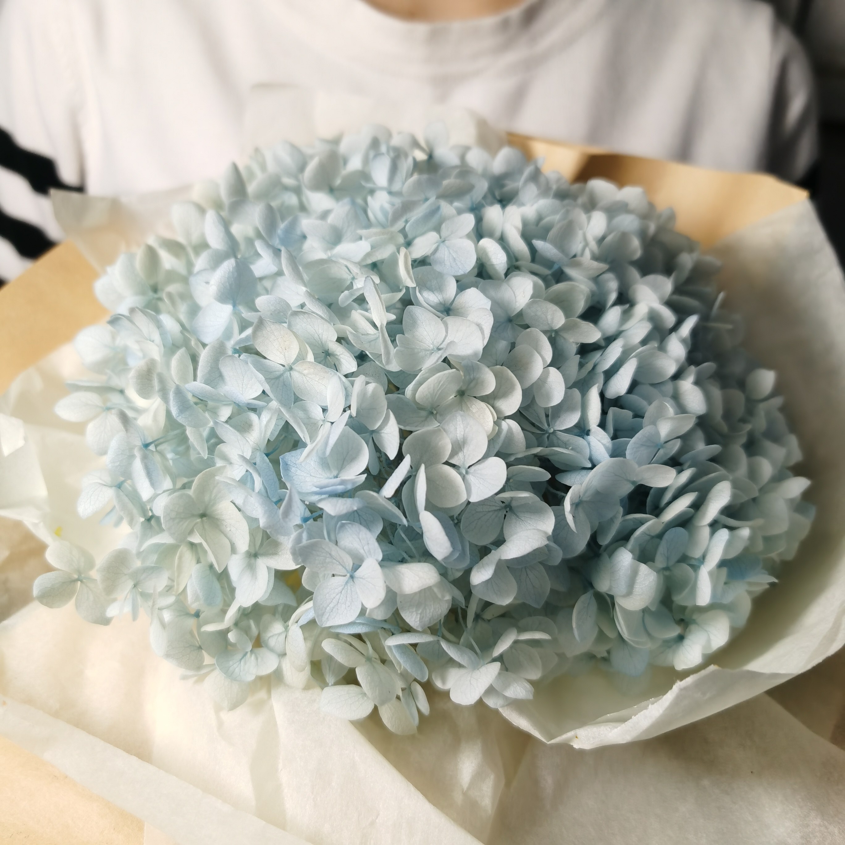 家居瓶插永生花绣球多色可选小叶安娜摆拍道具干花