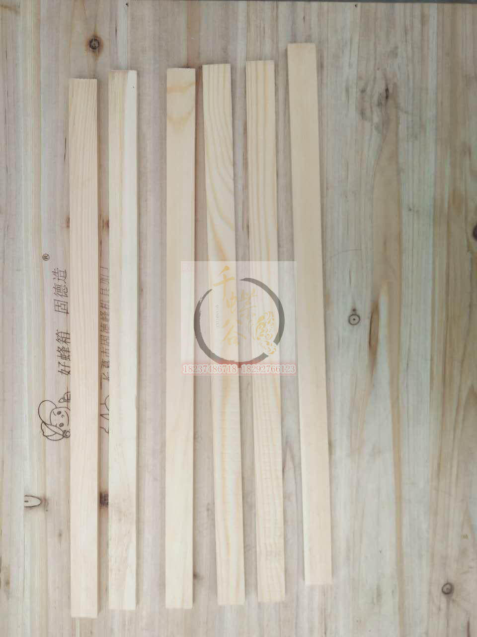 养蜂工具育王框浆框杉木育王框培育蜂王框巢框塑料浆框量大包邮