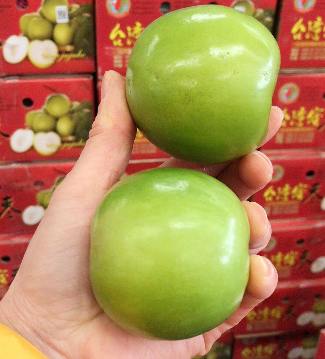 现货台湾牛奶大青4斤贵妃蜜枣新鲜枣