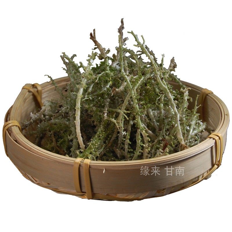 西北特产天然野生鹿角菜龙须菜青海甘南鹿角菜非石花菜即食凉拌菜