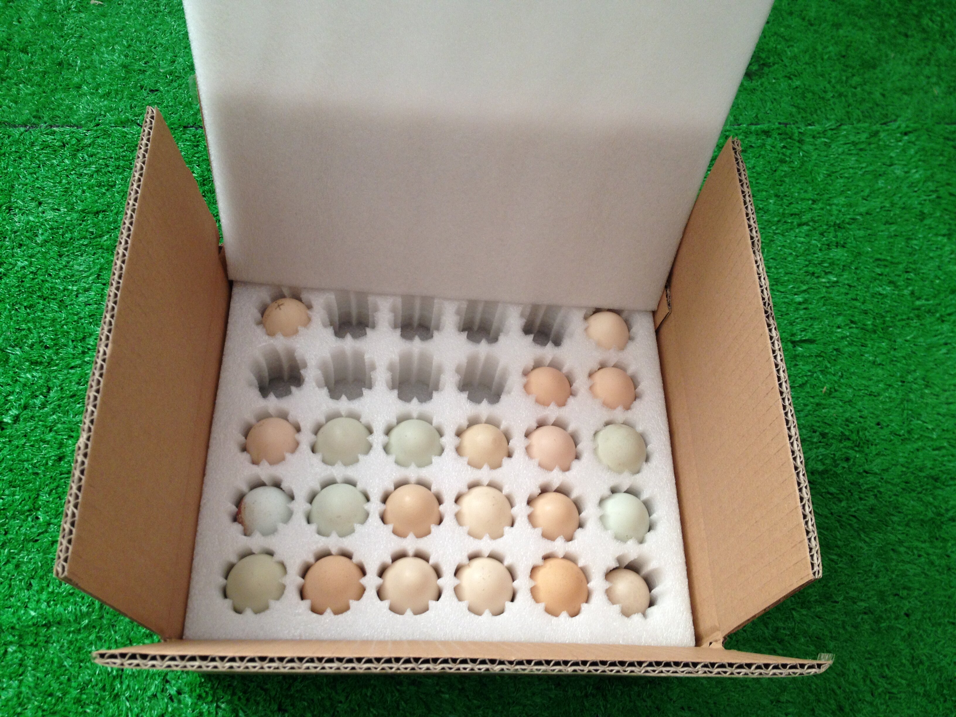 鸡蛋30枚珍珠棉土草鸡防震泡沫易碎快递包装野餐篮