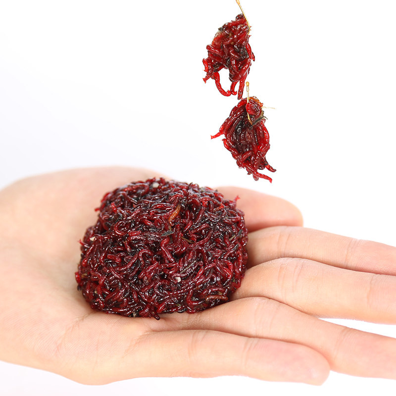 舟三公红虫拉饵伴侣坑滑鲫鱼鲤鱼饵料野钓不死活饵