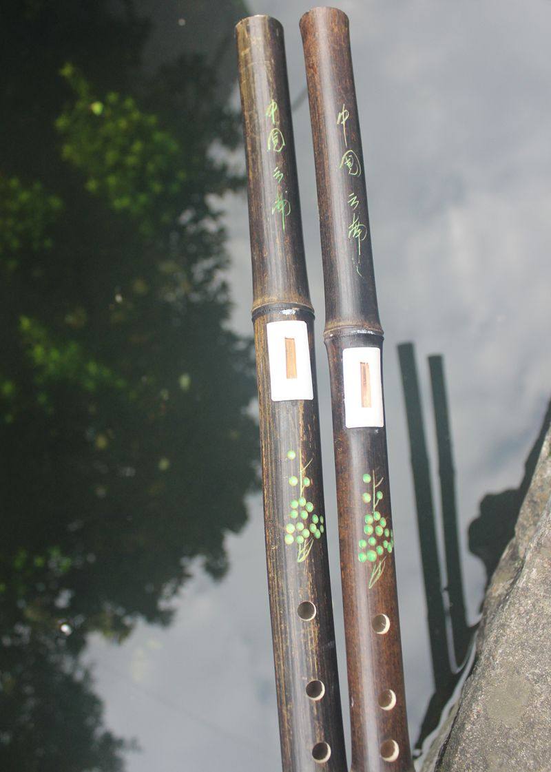 包邮纯天然紫竹横吹巴乌初学练习适用巴乌