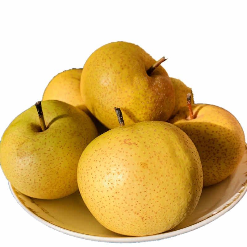 酸梨东北特产新鲜孕妇水果多汁无渣5斤包邮梨