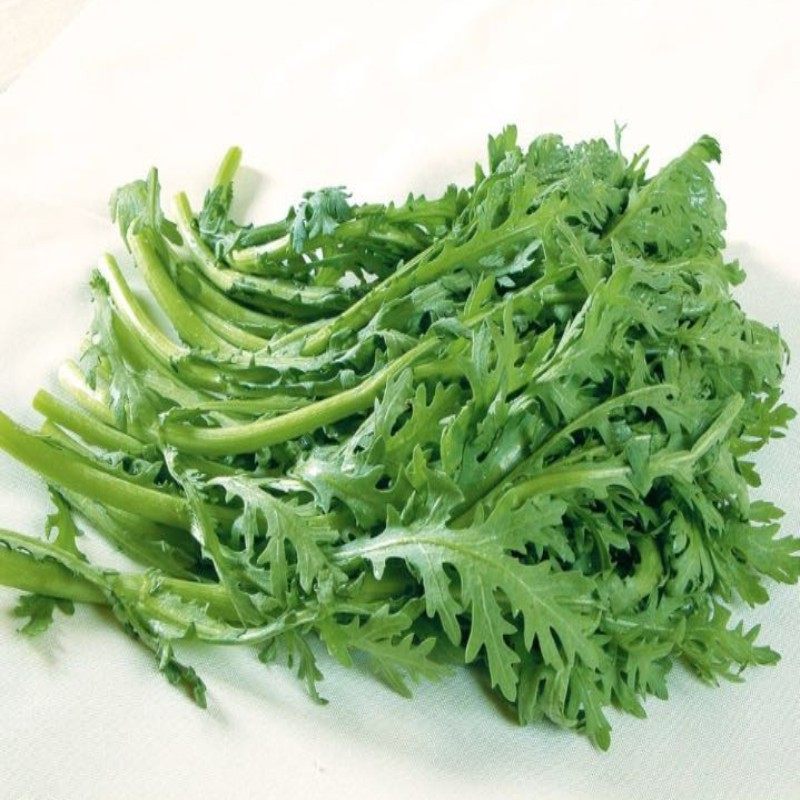 绿源禾心蒿子杆小叶茼蒿菜芦蒿青菜野菜现摘新鲜蔬菜500g火锅食材