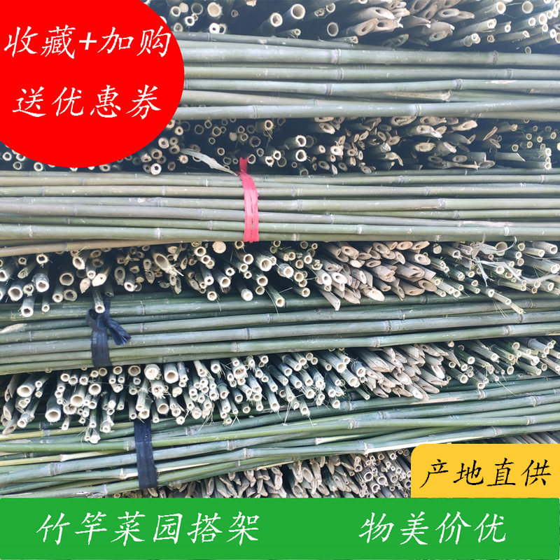 豆角架黄瓜架子小竹子细竹竿菜园搭架 园艺户外棍竹杆1米2米3米