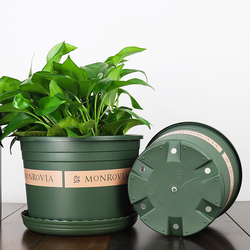 环球新款矮胖浅型加仑室外阳台圆口大口径养花花盆