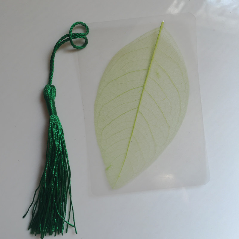 天然玉兰叶脉书签自制diy材料创意植物树叶书签