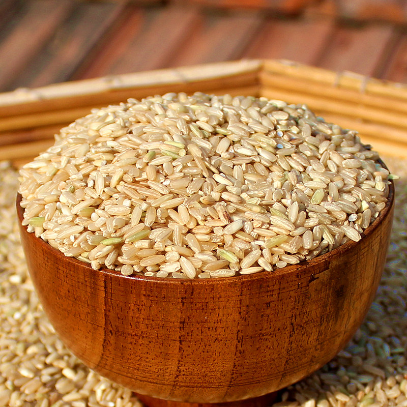 糙米饭胚芽米纯糙米杂粮玄米农家新米东北五常早米糟米粗粮饭健身