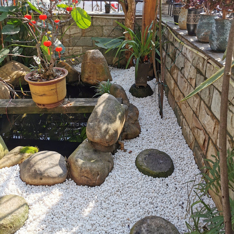 50斤白色石子石头大鹅卵石庭院铺路铺地小白石头园林枯山水白石子