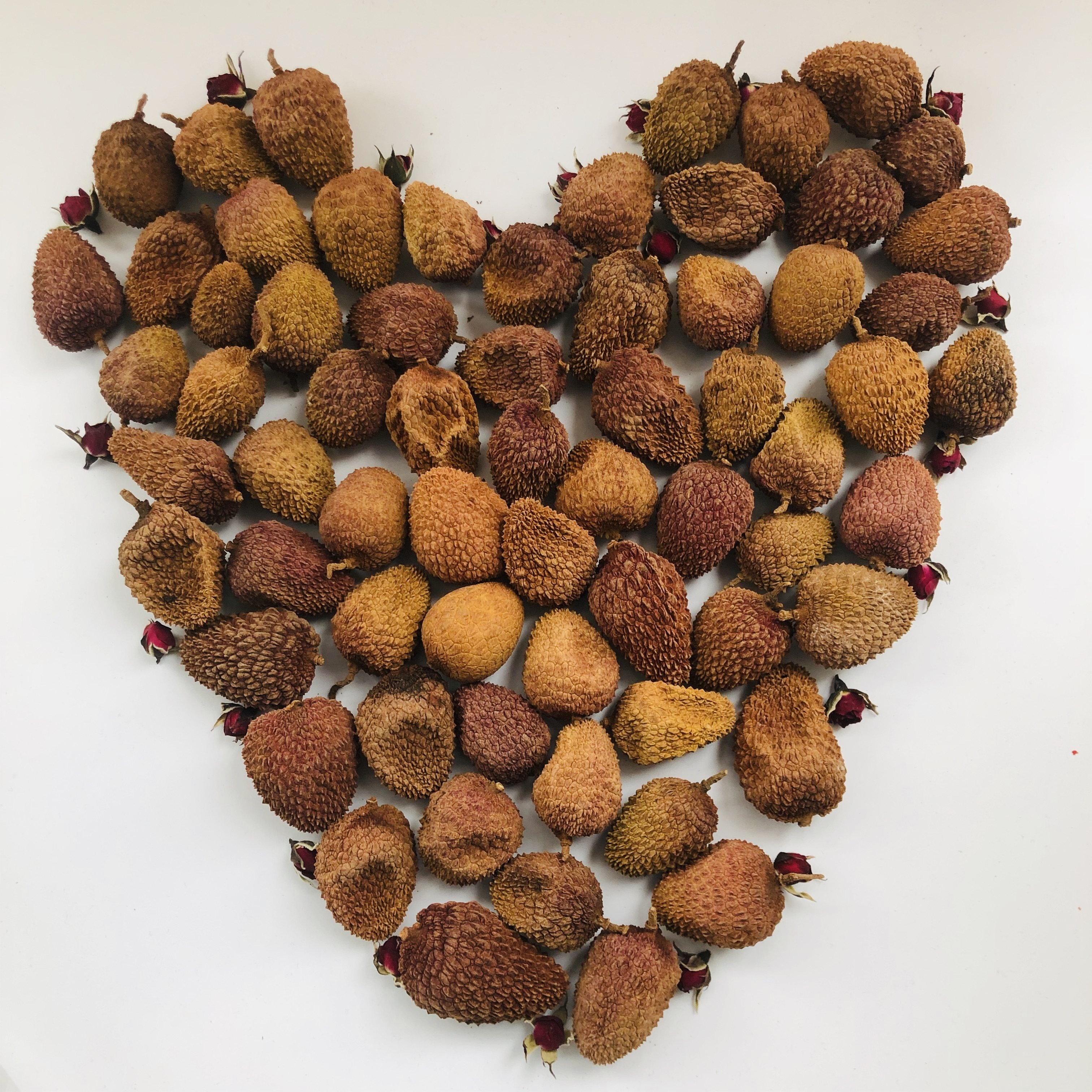 福建漳州特产正宗桂林荔枝枝干无硫农家干货荔枝干