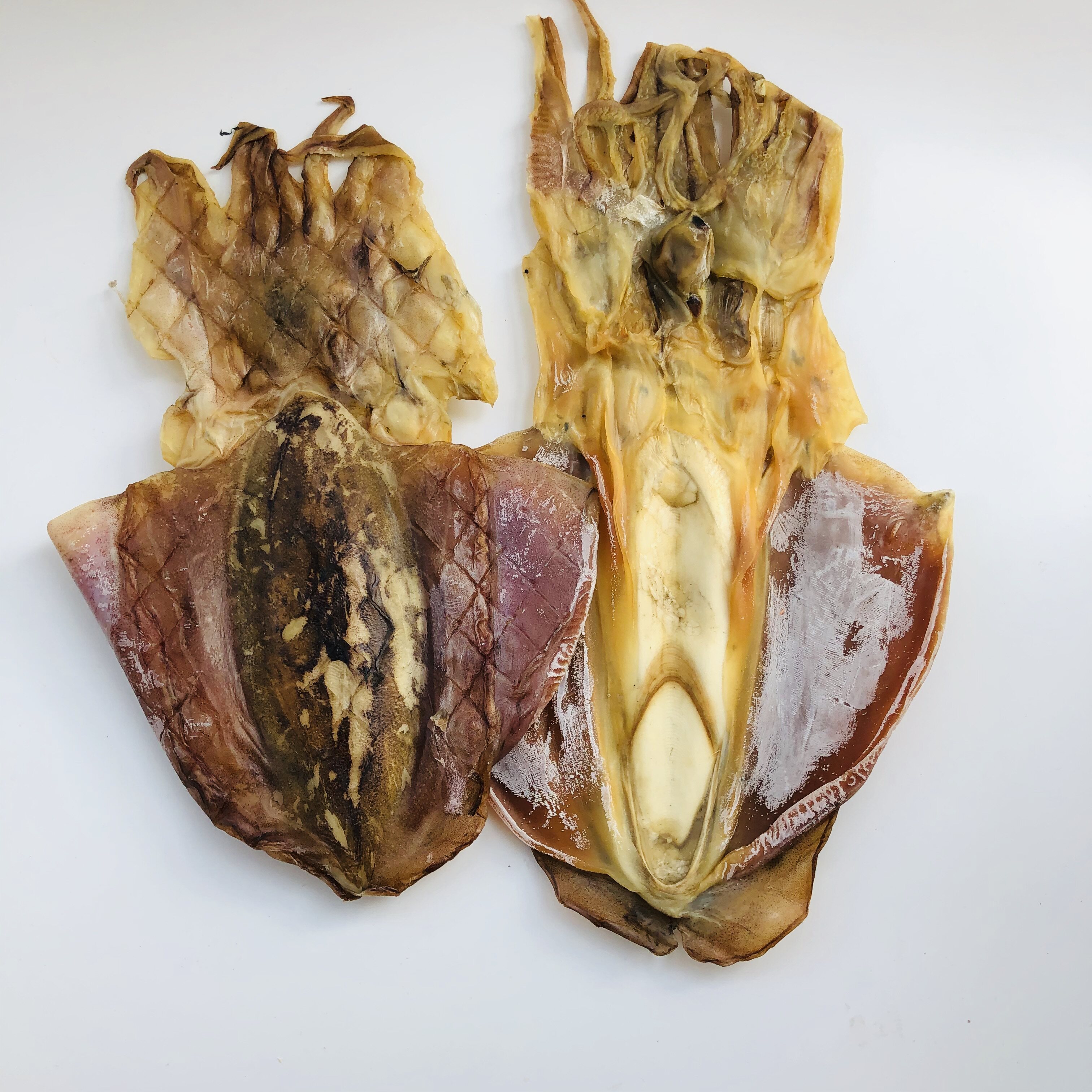 福建漳州东山岛特产墨鱼250g特级大号干货海产品墨鱼干