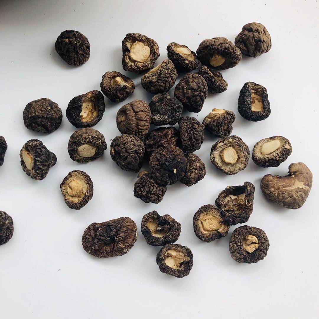 福建宁德古田椴木小香香菇农家特产迷你蘑菇香菇类